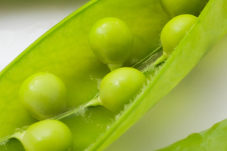 open green pea pod on the white plate. close-upの写真素材