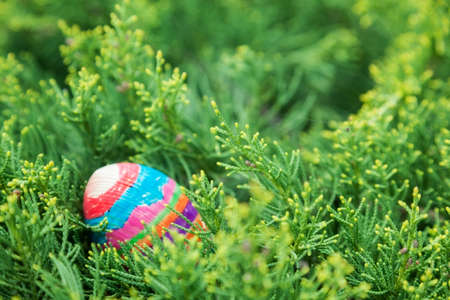 painted wooden egg in conifer branchesの写真素材