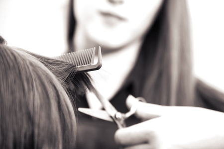 creating hairstyles hairdresser at salon. indoor shotの写真素材