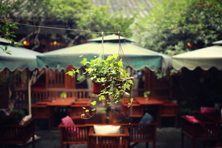 Potted plants hanging from the ropeの写真素材