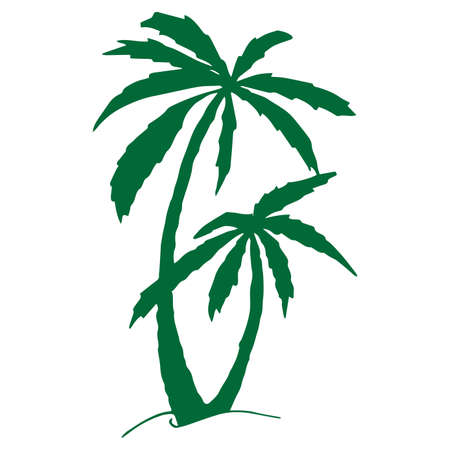 Illustration of palm trees in doodle style for design, website, background, banner.Hand drawing floral on beach. Travel and vacation ink element templateの写真素材