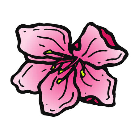 Hand drawn sakura blooming flower. Traditional japanese or chinese spring flower in ink styleの写真素材