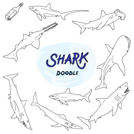 set of hand drawn shark illustrations in doodle styleの写真素材