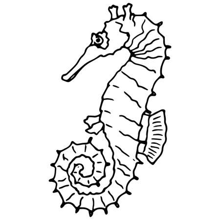 hand drawn hippocampus illustration in doodle styleの写真素材