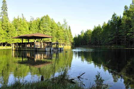 forest lakeの写真素材