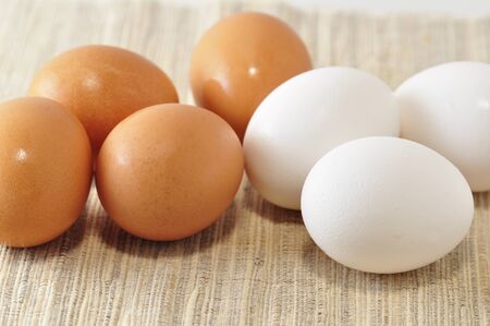 eggs 