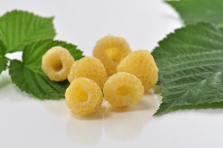 fresh yellow raspberries 
