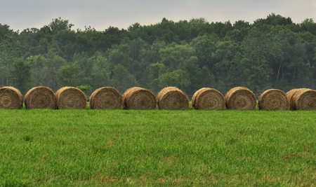 Hay bails in a fieldの写真素材