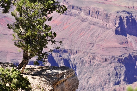 Grand Canyon National Park, USA の写真素材