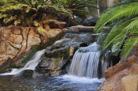 waterfall in a park の写真素材