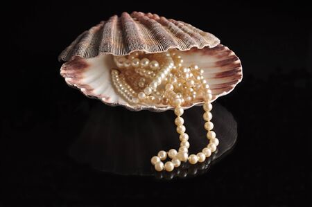 pearl into a shellfish