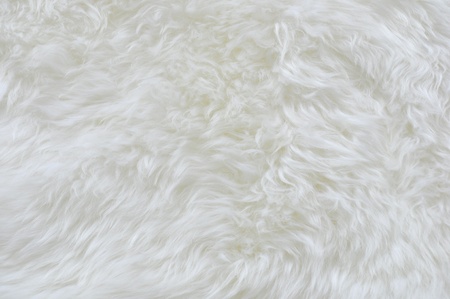 white fur 