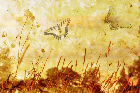 grass and butterflies  on Grunge Abstract Background の写真素材