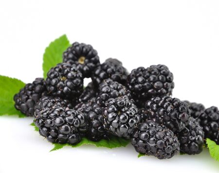 Black berries with leaves on a white background の写真素材