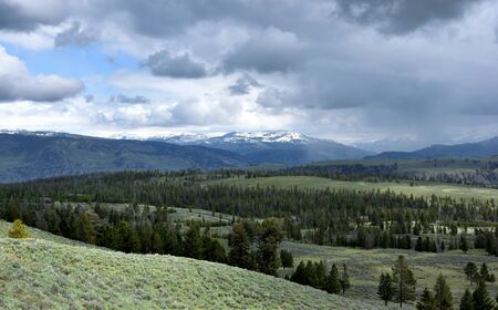 beautiful mountains landscape with forest and rainy skyの写真素材