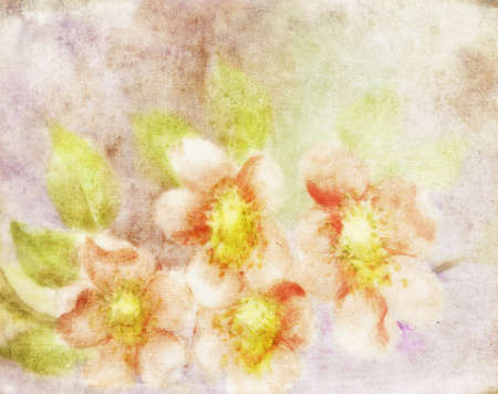 Old Paper Floral Texture For Background