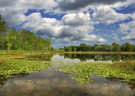 Summer Landscape With Lake And Blue Skyの写真素材