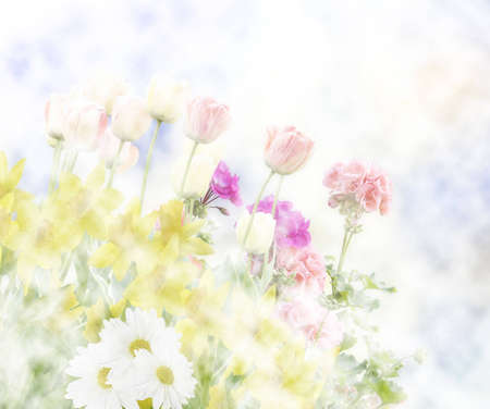 Colorful Abstract Spring Flowers Backgroundの写真素材