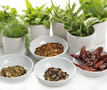 Herbs And Spices Assortment In White Dishの写真素材