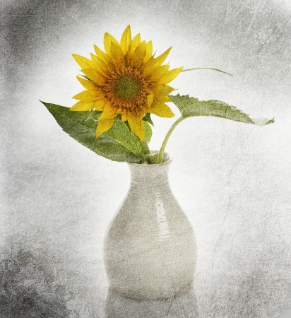 Grunge Image Of Sunflower In A Vaseの写真素材
