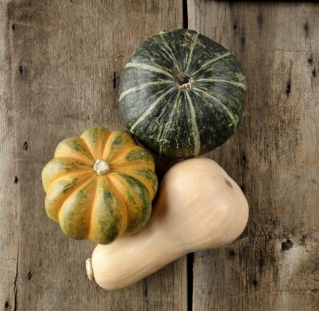 Squash Collection On A Wood,Top Viewの写真素材