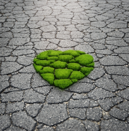 Heart Shape  Grass Growing From The Asphaltの写真素材