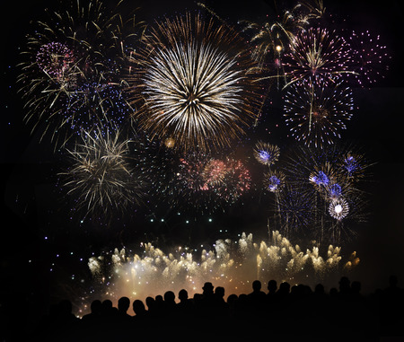 Group Of People Watching Beautiful Fireworks 
