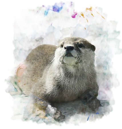 Watercolor Digital Painting Of  Otter Portrait の写真素材