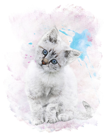 Watercolor Digital Painting Of  White Kittenの写真素材