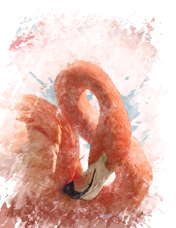Watercolor Digital Painting Of  Pink Flamingo Birdの写真素材