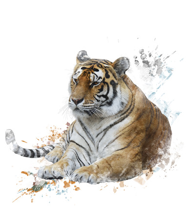 Watercolor Digital Painting Of Tigerの写真素材