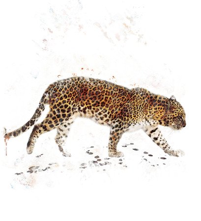 Watercolor Digital Painting Of  Walking Leopardの写真素材