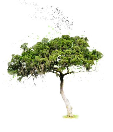 Watercolor Digital Painting Of Tropical Tree And Birdsの写真素材