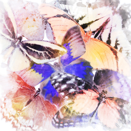 Digital Painting Of Butterflies Close Upの写真素材