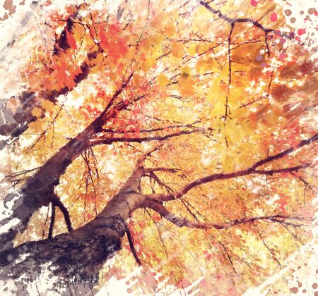 Digital Painting Of Autunm Treesの写真素材