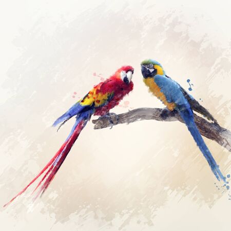 Digital Painting Of Two Macaw Parrots