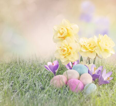 Easter Eggs on Meadow with Daffodil and Crocus Flowers