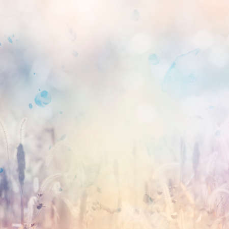 Nature Abstract Background with Grassの写真素材