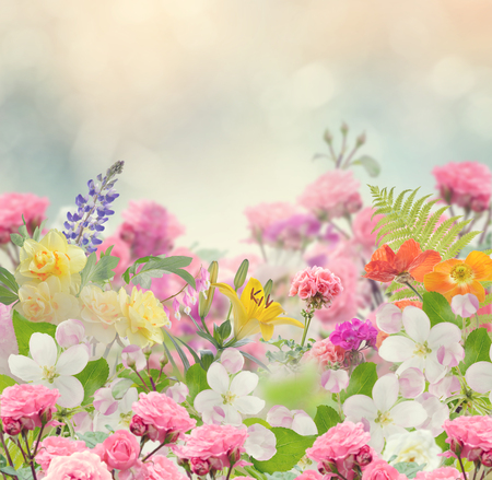 Blossom of Colorful Flowers for Backgroundの写真素材