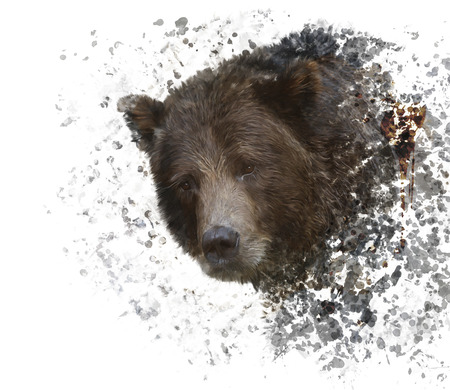 Digital Painting of Brown Bearの写真素材