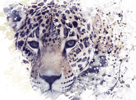 Digital Painting of Leopard Portraitの写真素材