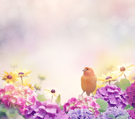 Flower Blossom Background with a Yellow Birdの写真素材