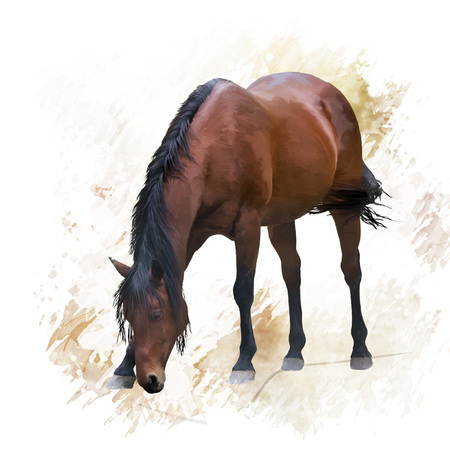 digital painting of Brown  horseの写真素材