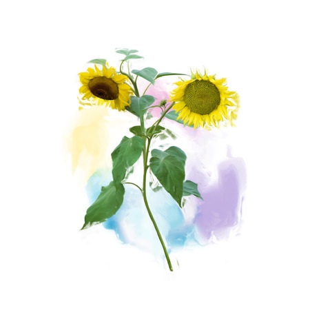 Digital painting of Two Sunflowersの写真素材