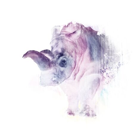 Digital Painting of rhinoceros.African wildlife animals.の写真素材