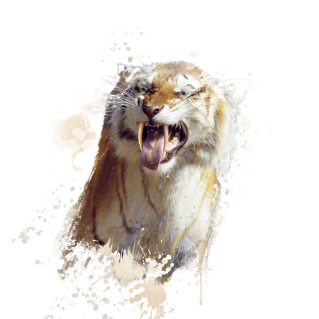 sabertooth tiger portrait watercolorの写真素材