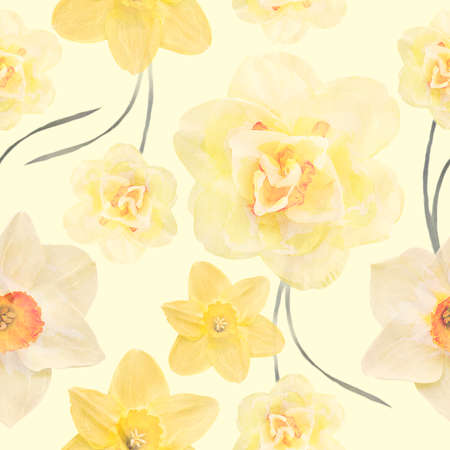 Seamless floral design with daffodil  flowers for background, Endless pattern.Watercolor illustration.の写真素材