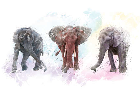 Watercolor Elephants. Digital illustration on white background.