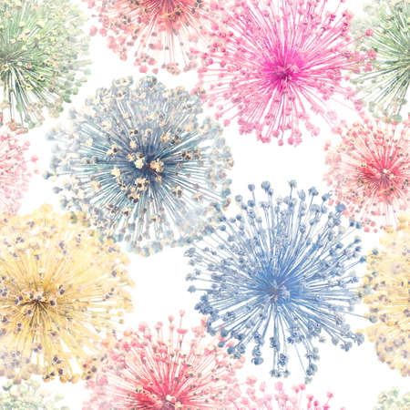 Watercolor digital painting of Dry flowers of a wild onions.の写真素材