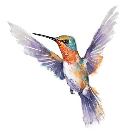 Digital Painting of Colorful Hummingbird isolated on white backgroundの写真素材